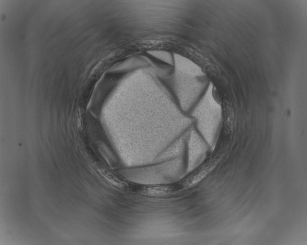 X0000072940758200608181341