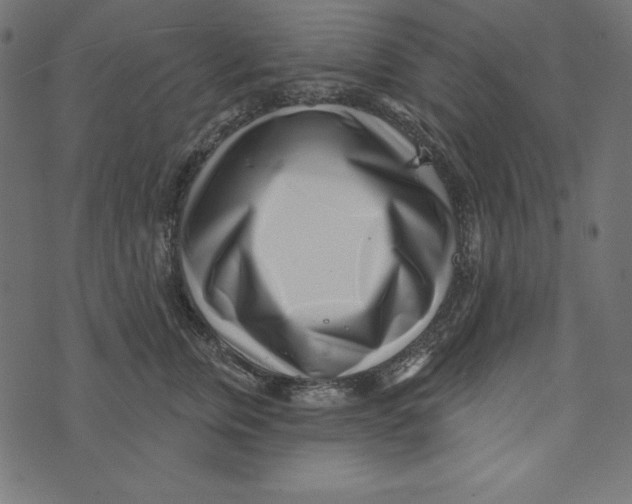 X0000072940759200608181341