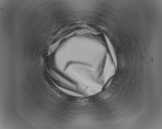 X0000072940760200608181341