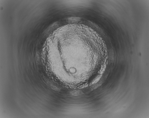 X0000072940761200608181341