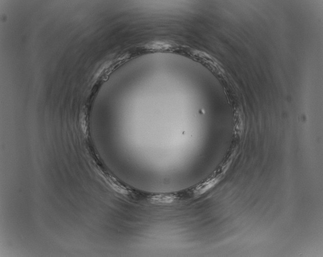 X0000072940762200608181341