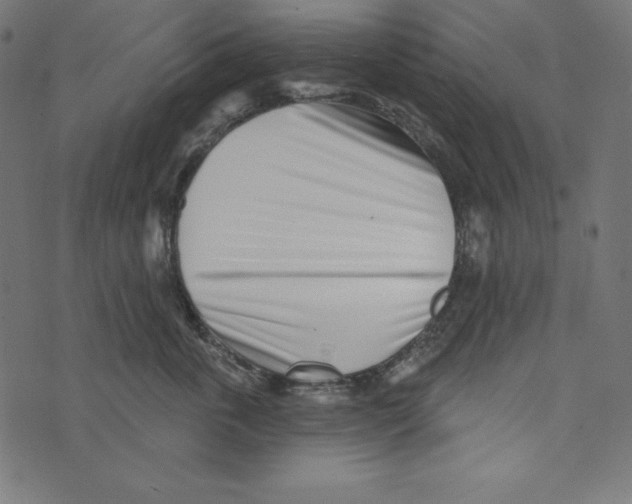 X0000072940763200608181341