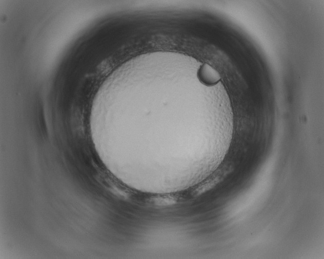 X0000072940765200608181341