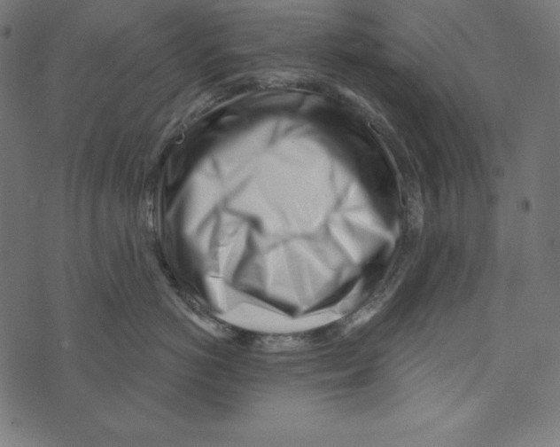 X0000072940766200608181341