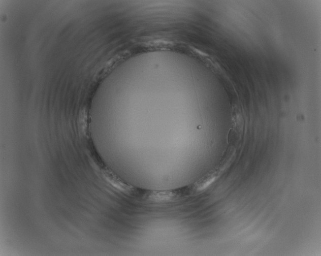 X0000072940767200608181341