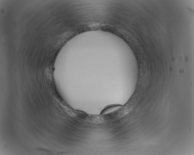 X0000072940768200608181341