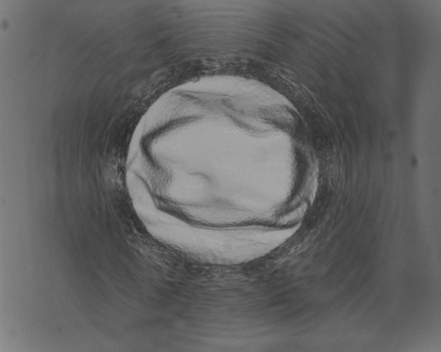 X0000072940770200608181340