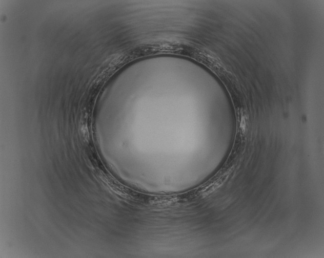 X0000072940771200608181340