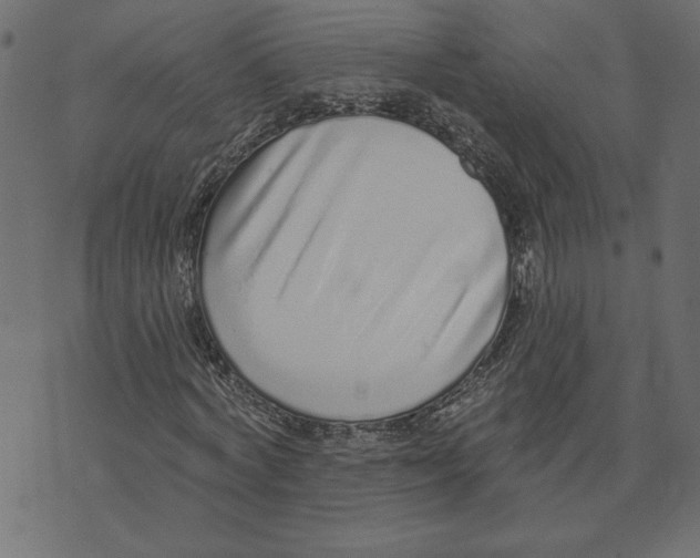 X0000072940772200608181340