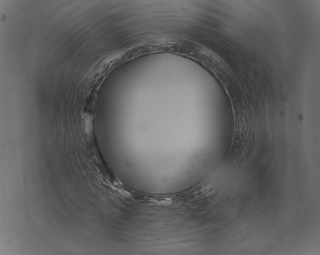 X0000072940773200608181340