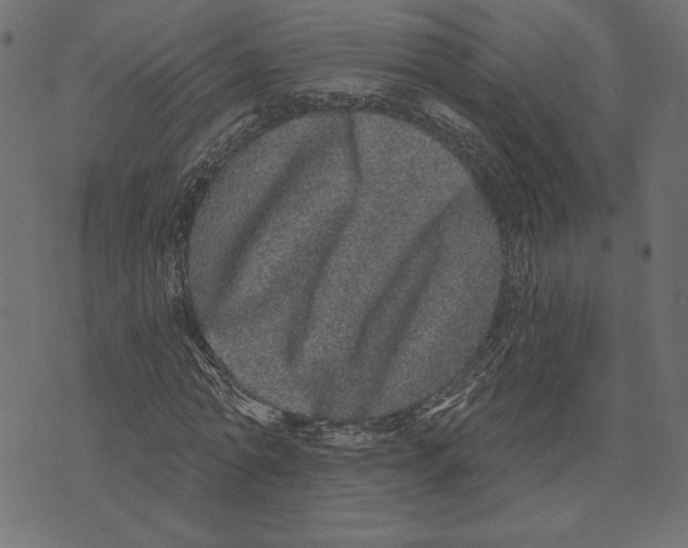 X0000072940774200608181340