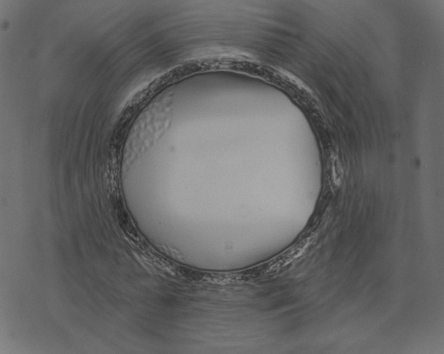 X0000072940775200608181340