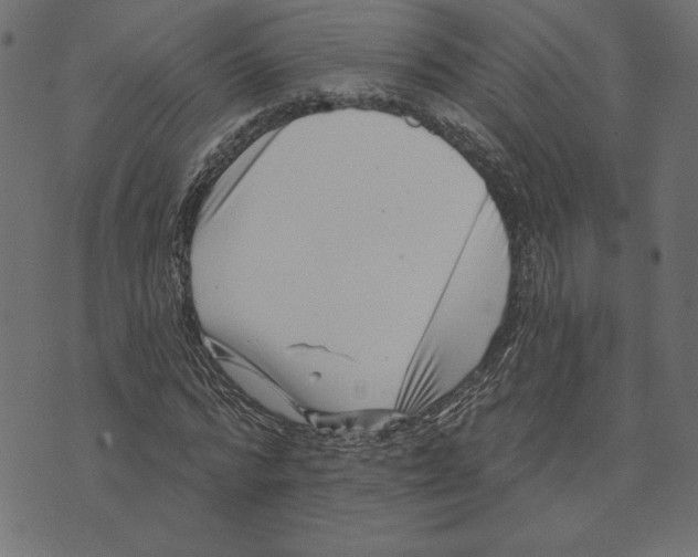 X0000072940776200608181340