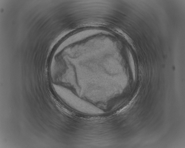 X0000072940779200608181340