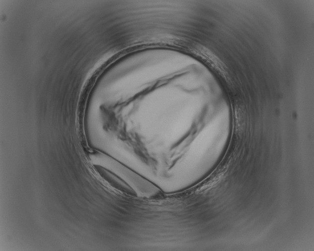 X0000072940780200608181340