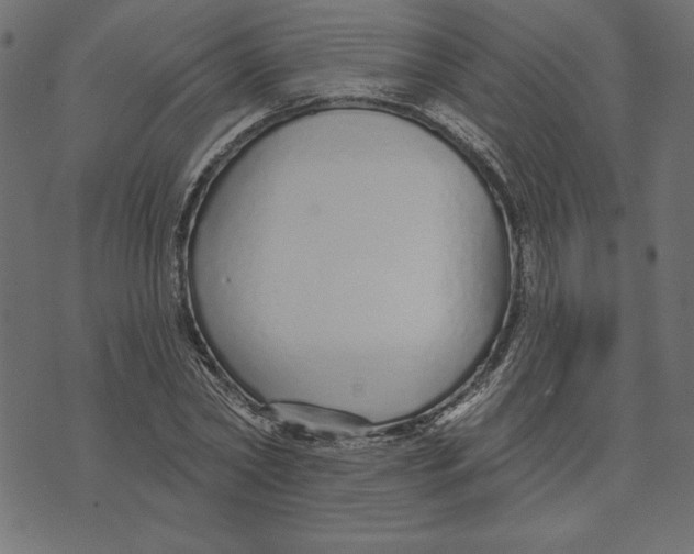 X0000072940782200608181340