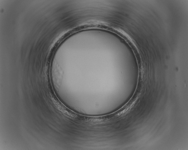 X0000072940783200608181340