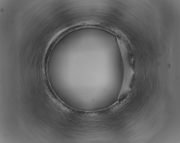 X0000072940784200608181340