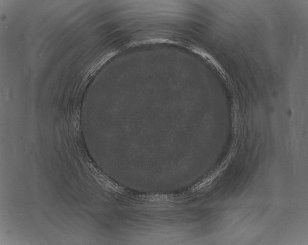 X0000072940785200608181340