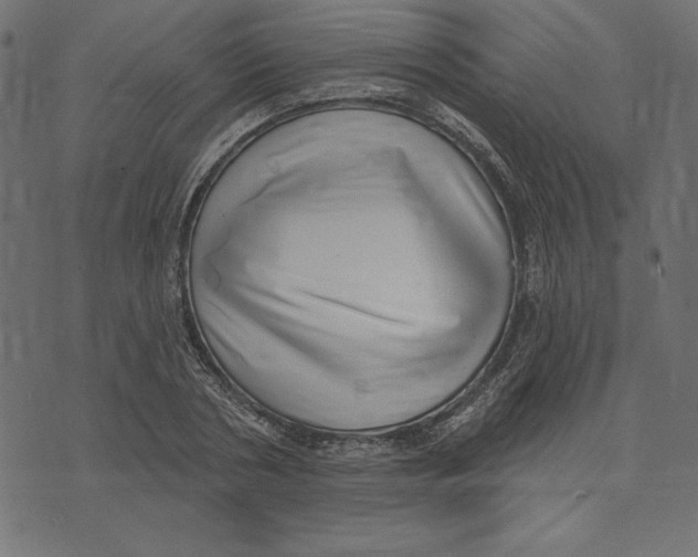 X0000072940786200608181340