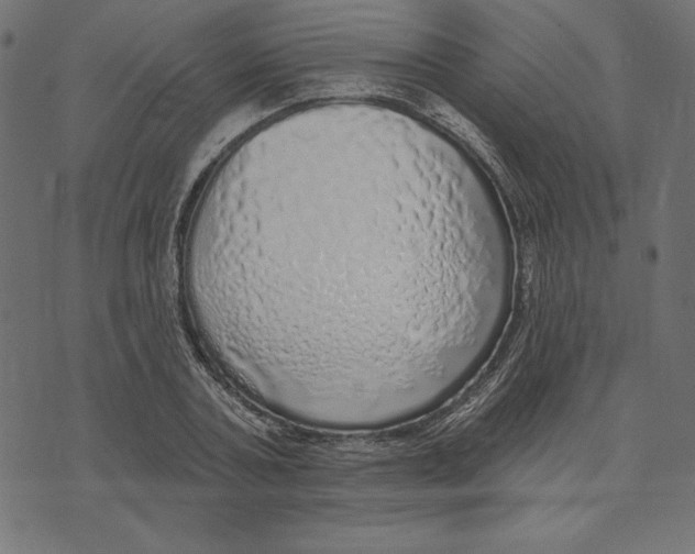 X0000072940787200608181340