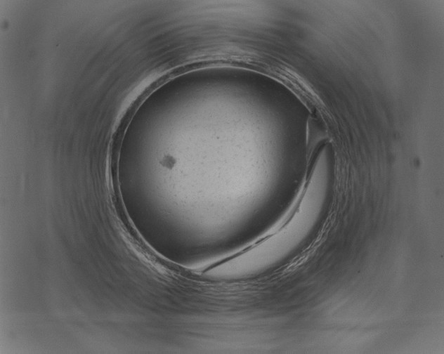 X0000072940788200608181340