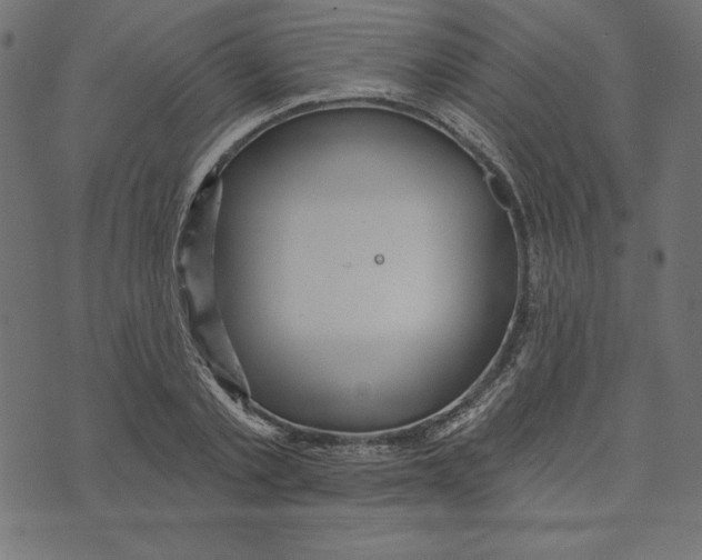 X0000072940789200608181340