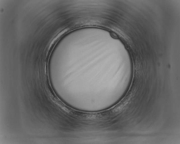 X0000072940790200608181340