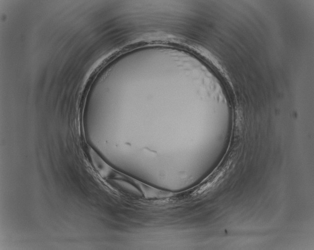 X0000072940791200608181340