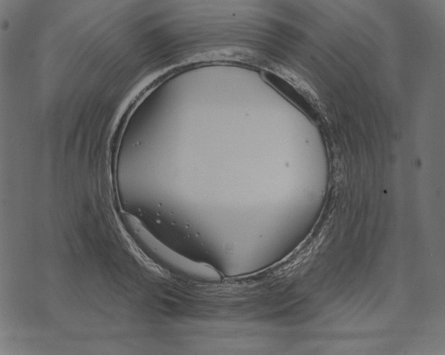 X0000072940792200608181340