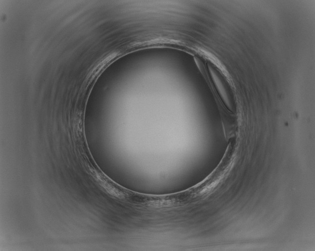 X0000072940793200608181340