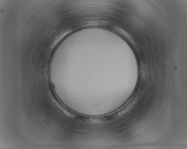 X0000072940794200608181340