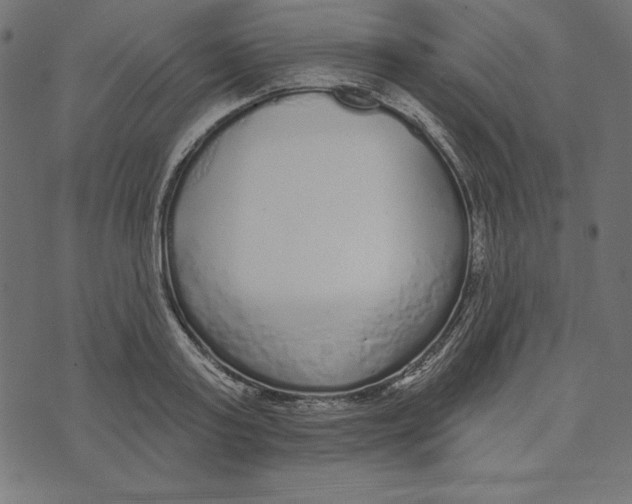 X0000072940795200608181340