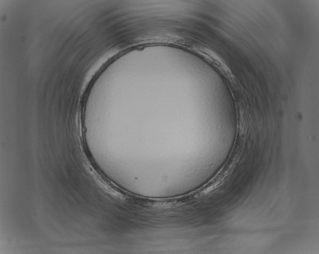 X0000072940796200608181340