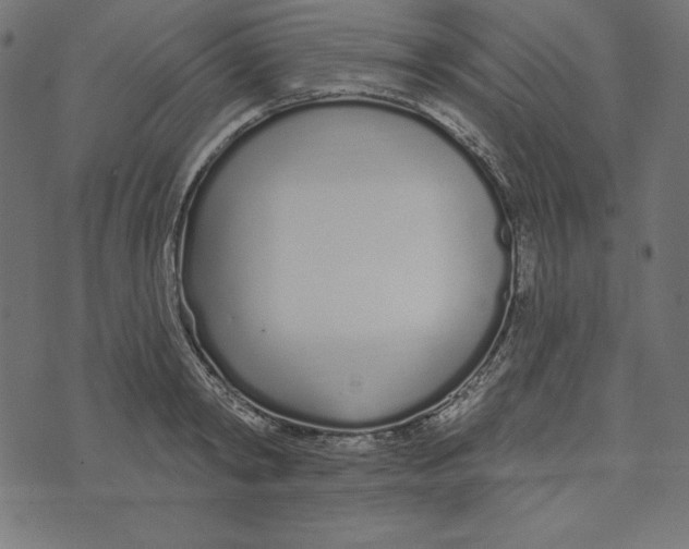 X0000072940798200608181340