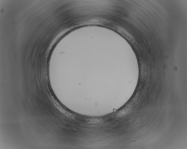 X0000072940800200608181340