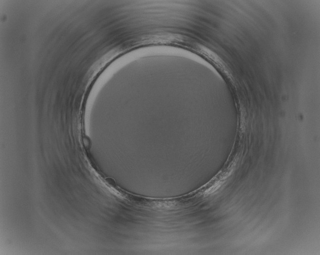 X0000072940802200608181340