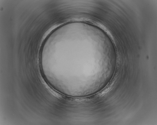 X0000072940803200608181340