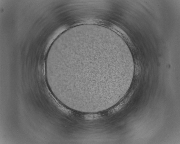 X0000072940804200608181339