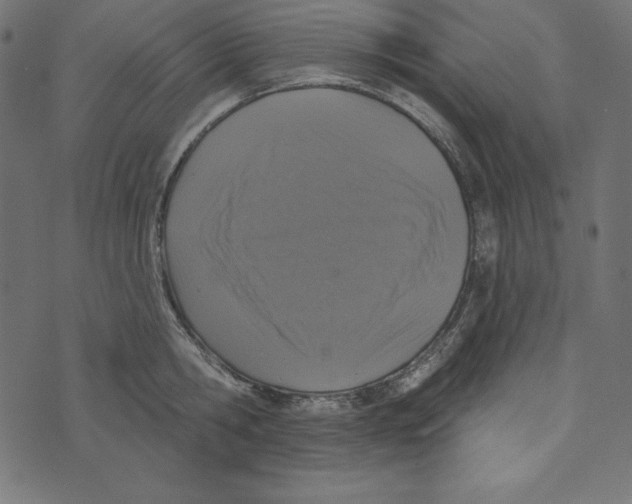 X0000072940806200608181339