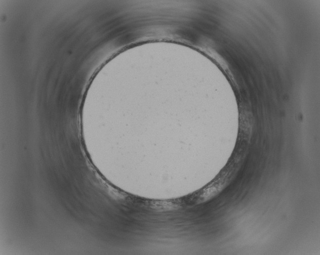 X0000072940807200608181339