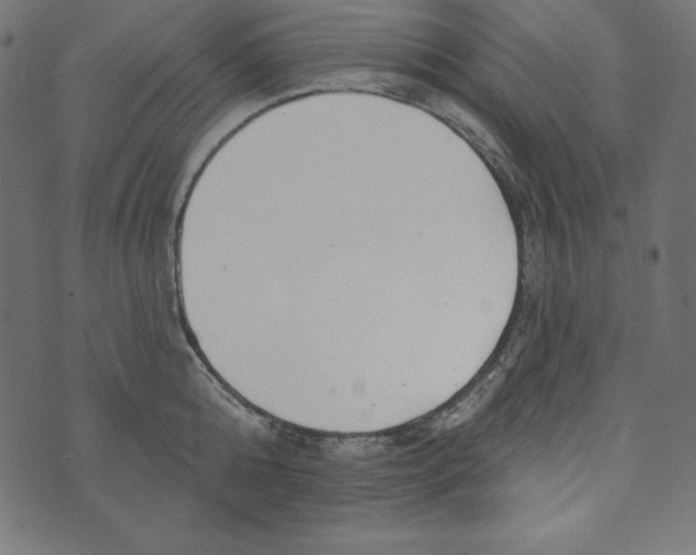 X0000072940808200608181339