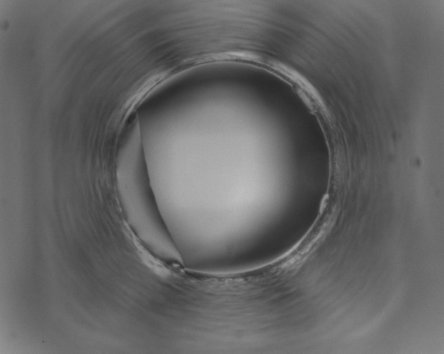 X0000072940809200608181339