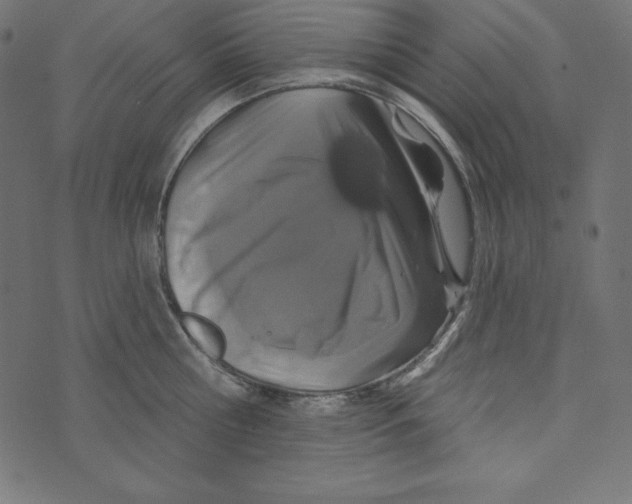 X0000072940810200608181339