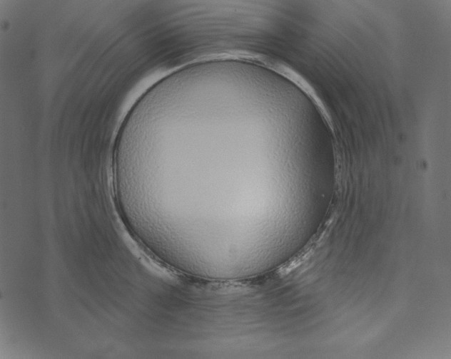 X0000072940811200608181339