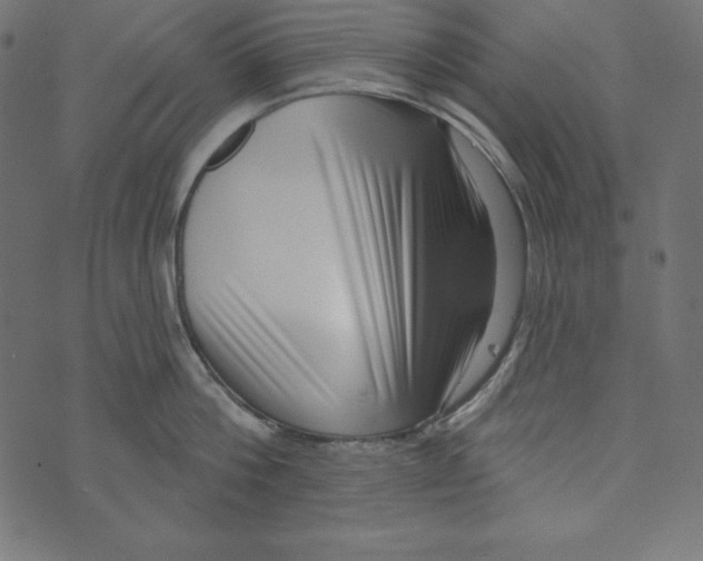 X0000072940812200608181339