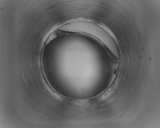 X0000072940813200608181339