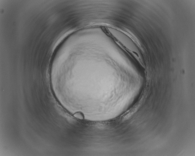 X0000072940814200608181339