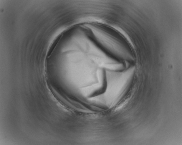 X0000072940815200608181339