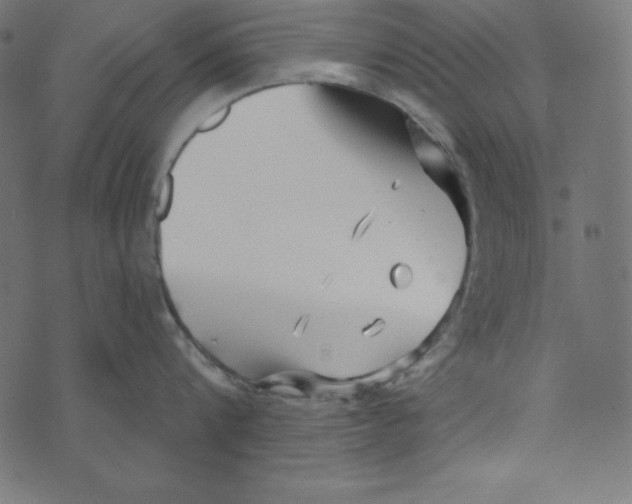 X0000072940816200608181339